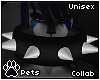 [Pets] Fayr 2.0 | collar