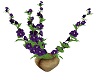 *cp* purple flowers