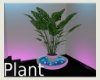 ::Swanky Plant::
