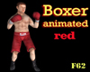 Boxer animated red