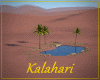 Kalahari Oasis