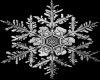 [steel]Snowflake Gifts