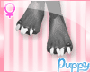 [Pup] Furry Paws