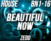 House - Beautiful Now