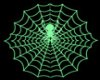 spider web top