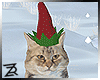!R Christmas Cat