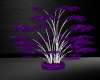Purple Pot Plant