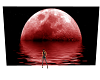 (ARY) RED MOON