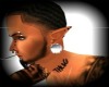 [SP] SWAGG PLUGS