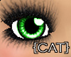 {CAT}Lime Cute Eyes