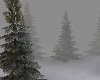 [K] Nordic winter