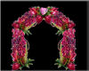 Exotic Flower arch
