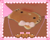 ♡ kitty cookie♡