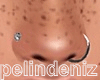 [P] Silver nose piercing