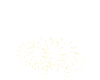 gold fireworks + poses