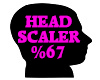 Head Scaler %67