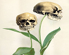 Skull Plants