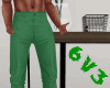 6v3| Green Guard Pants