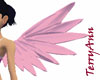 Cherub Pink Wings