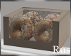 Rus Box Of Bagels
