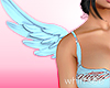 Angel Cherub Wings