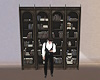 Private Library Bookcase