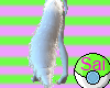 White Fluffy Tail ~SAI