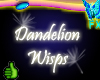 Dandelion Wisps