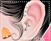 🔔 Silver Piercings L