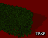 Ovaled Hedge
