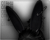 @BUNNY+EARS.