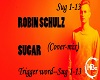 Robin Schulz-Sugar