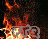 🐼 Fire Background