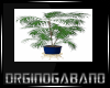 ** Miami Plant