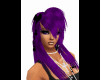Holly purple