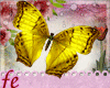 [fe]butterfly bu/ye*Enh