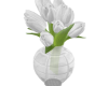 Tulips white