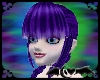 Suzu Purple Streaks [HA]