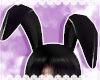 𝓶. latex bunny ears