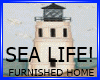 SEA LIFE! FURNSIHED HOME