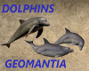2 Dolphins Enchancer