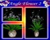 Angel Flower 2