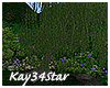 Eden Willow Tree