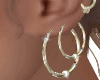 Gold Earrings Set