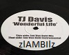 TJ Davis-Wonderful Life