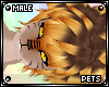 [PETS] Tigger | hair v2