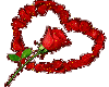 A rose in a Heart