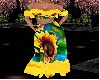 gypsy sunflower