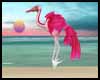 Aari Flamingo Pink