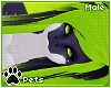 [Pets] Esme | hair v2